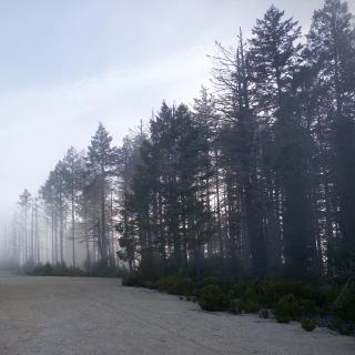 airstrip