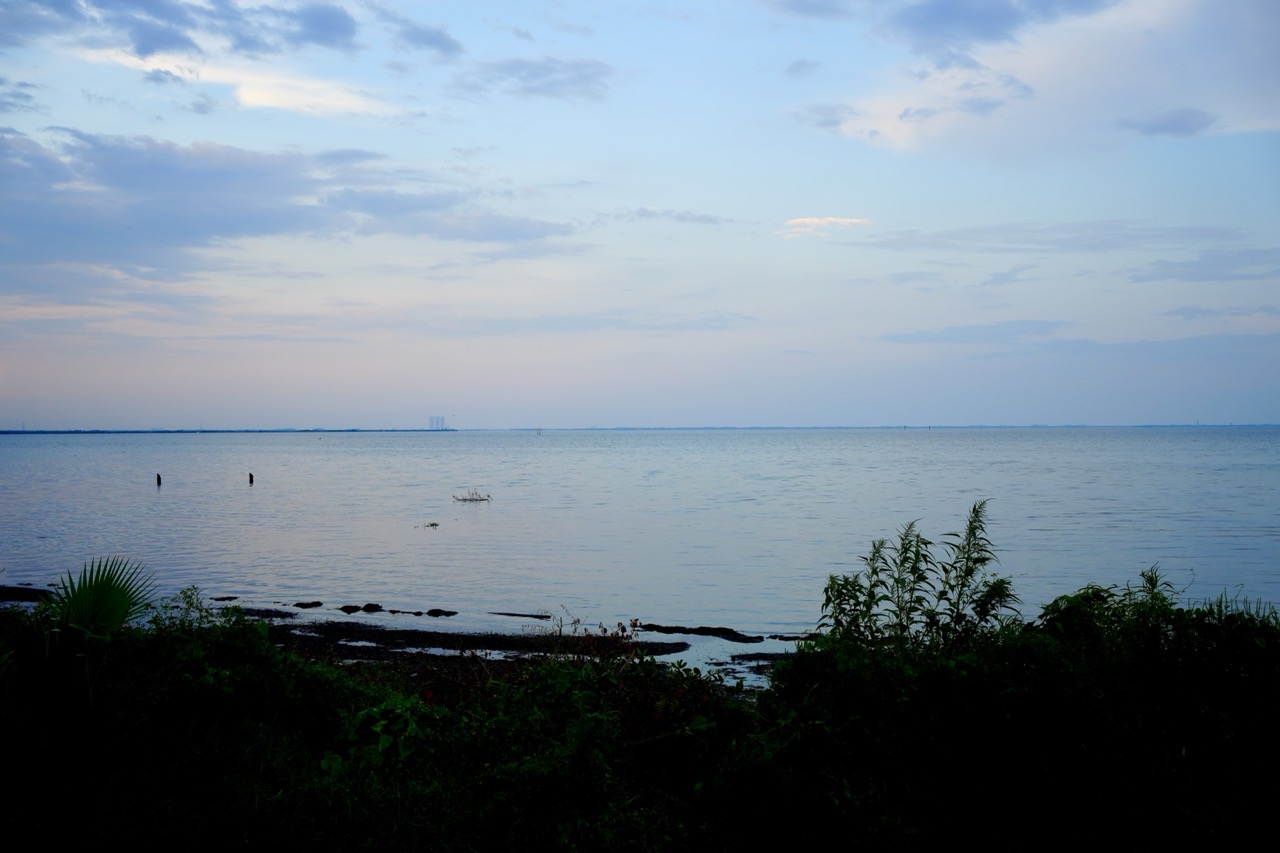 A calm body of water reaching a distant horizon with a large building, bordered by dark coastal foliage.