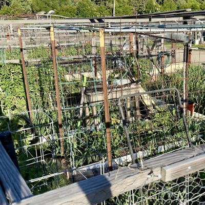 gardener's engineering