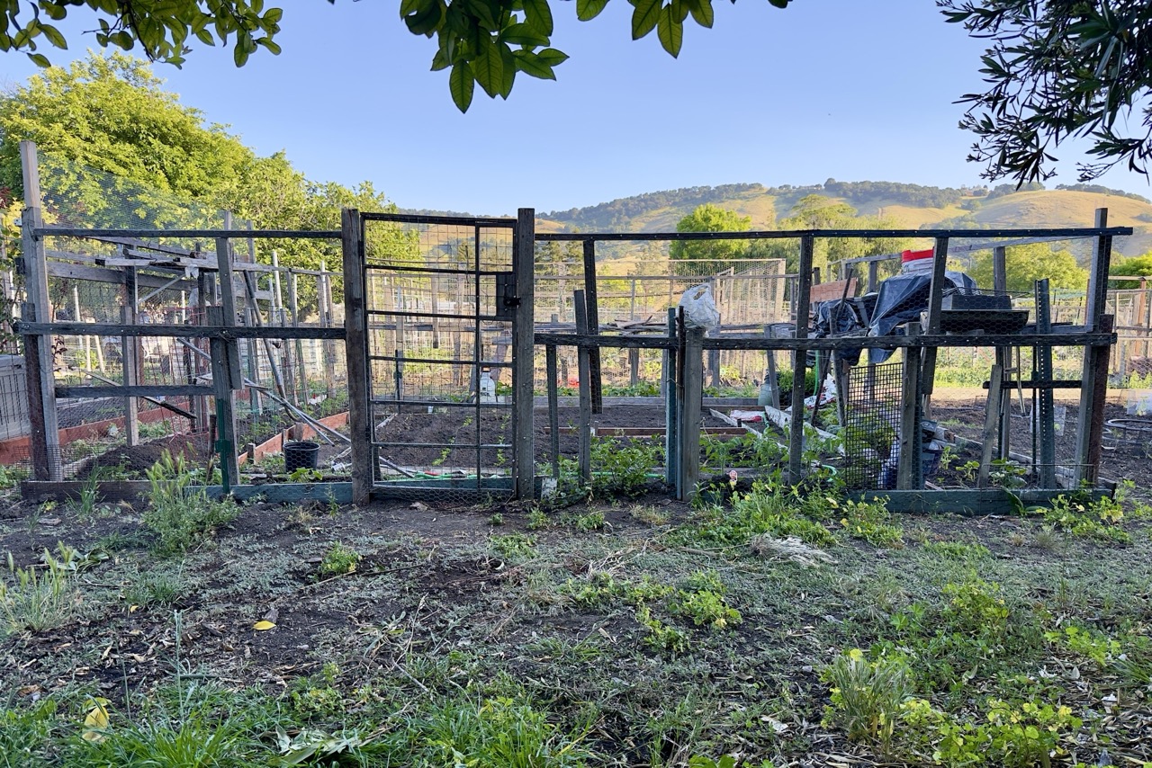 A tall wood-and-wire fence framing the gate of a community garden plot, with green hills visible in the background.