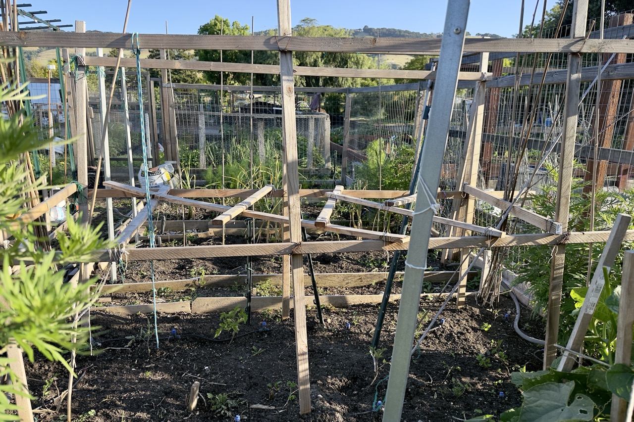 A garden bed framed by tall wooden posts with horizontal wood cross-pieces lashed across them, forming a flat lattice over the soil.