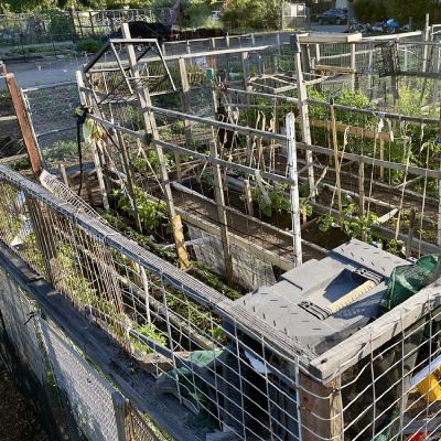 gardener's engineering