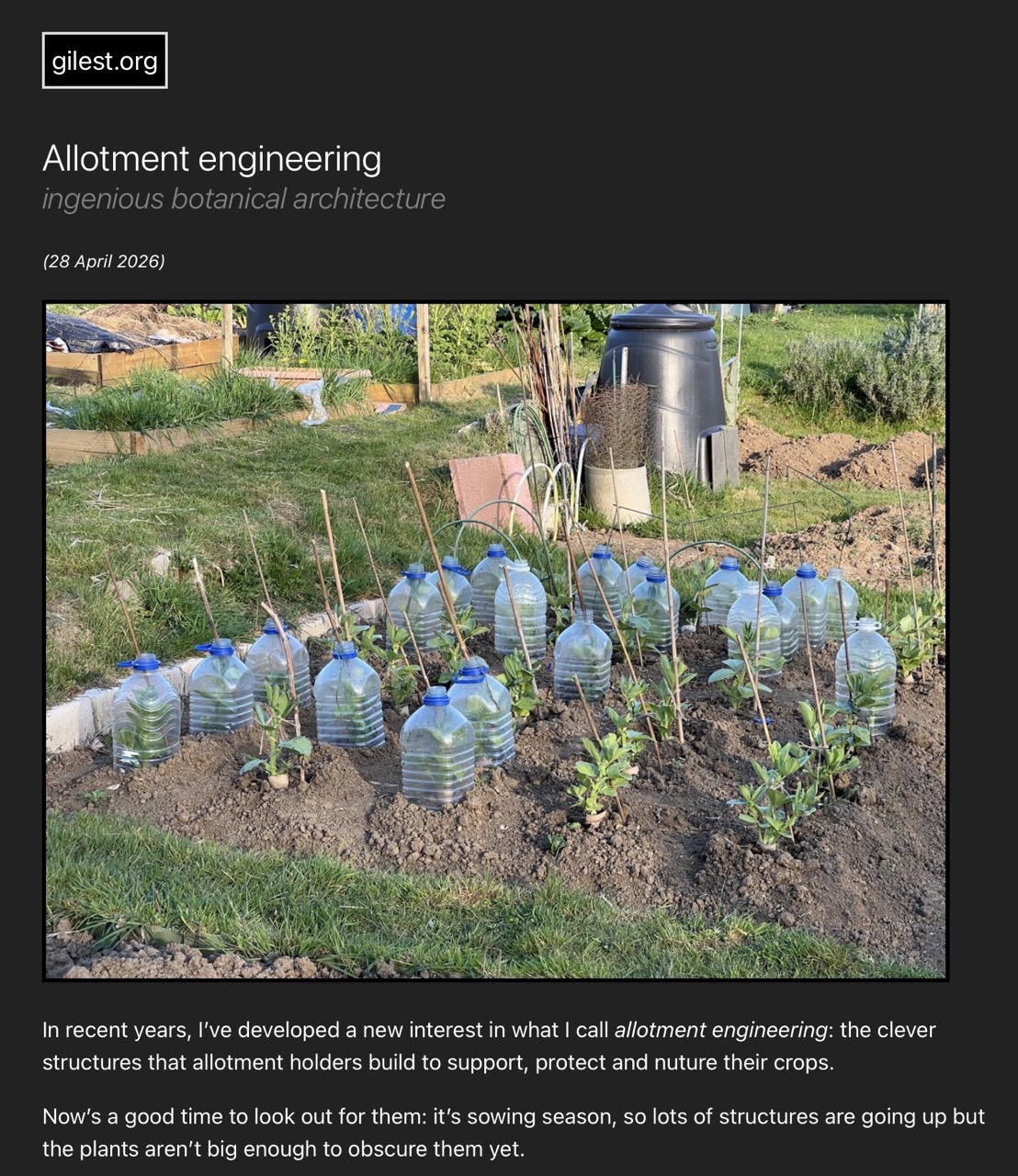 Screenshot of the gilest.org post “Allotment engineering,” showing rows of upturned plastic bottles used as cloches over young plants in an allotment bed.
