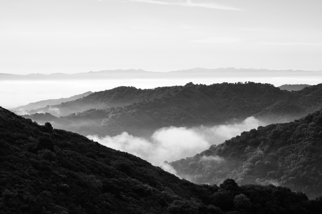 A black-and-white view of fog pooling in wooded valleys between hillsides, distant ridgelines fading into haze.