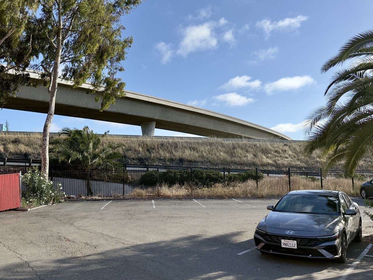 A curved freeway overpass rising above a parking lot lined with palm trees and iron fencing.