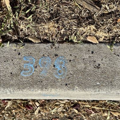 The number 398 written in blue chalk on a concrete curb, surrounded by dry leaves.