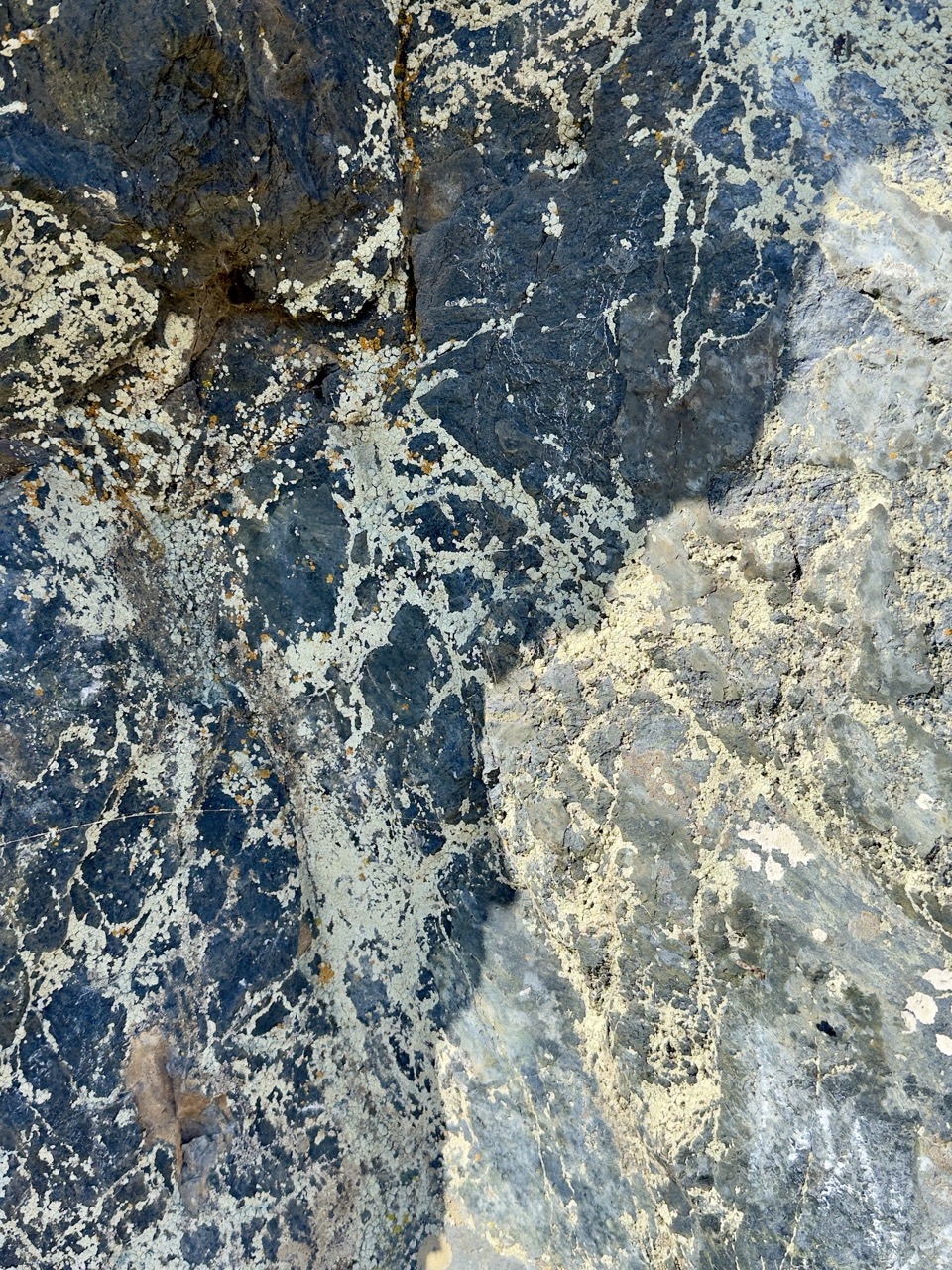 A close-up of dark rock veined with pale lichen and mineral streaks.