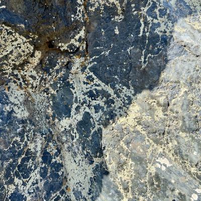 A close-up of dark rock veined with pale lichen and mineral streaks.