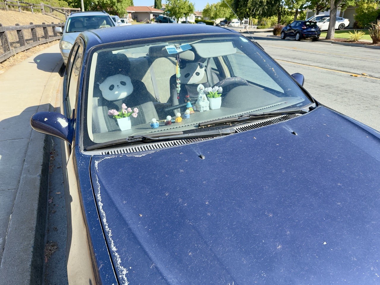 A dusty blue car parked at a curb, with panda plush toys and small figurines lined up on the dashboard.
