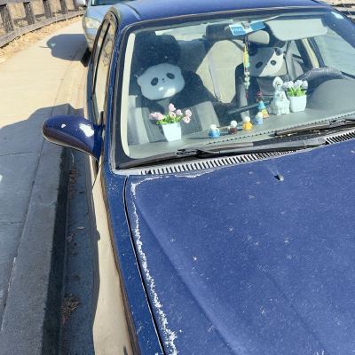 A dusty blue car parked at a curb, with panda plush toys and small figurines lined up on the dashboard.