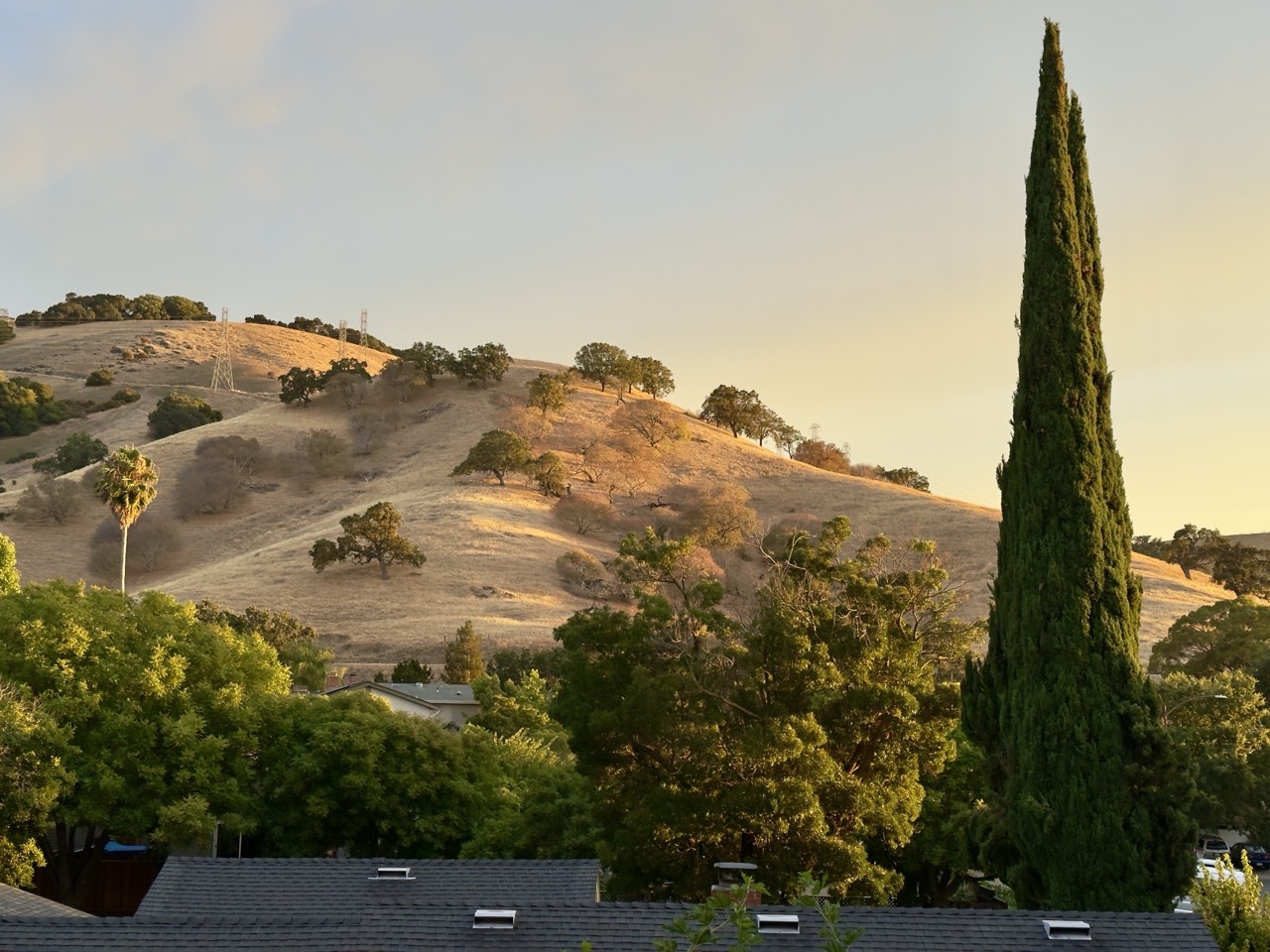 Golden-hour light on dry, oak-dotted hills behind a tall cypress tree and neighborhood rooftops.