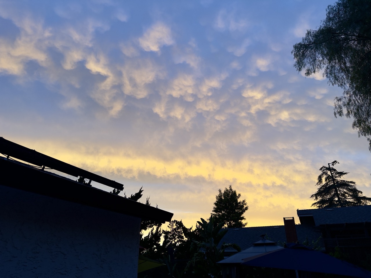 A textured pattern of clouds glowing at dusk above dark, silhouetted rooftops and trees.
