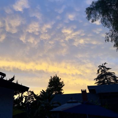 A textured pattern of clouds glowing at dusk above dark, silhouetted rooftops and trees.