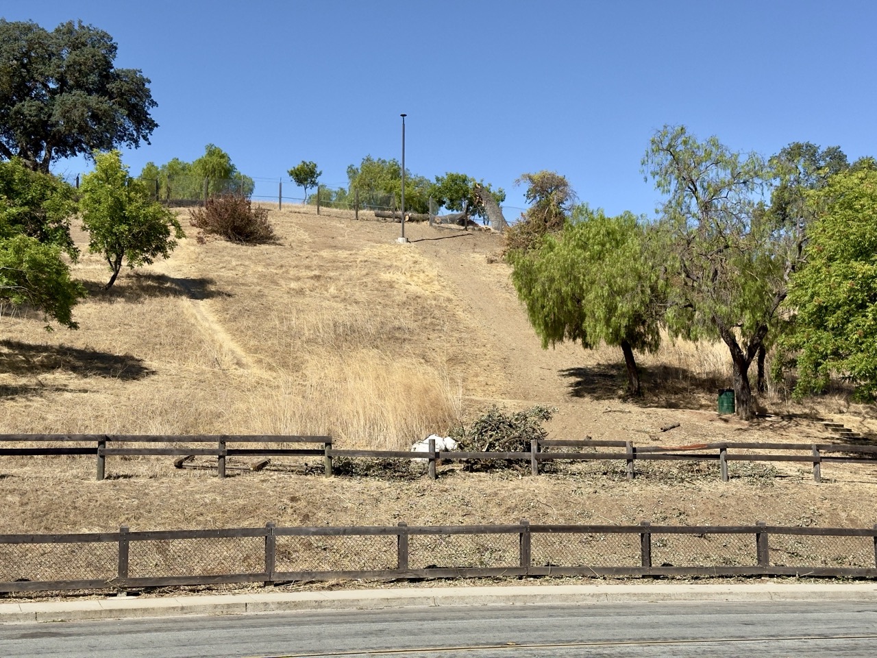 A dry, grassy hillside behind wooden fencing, with cut branches piled near the base and a chain-link fence along the ridge.