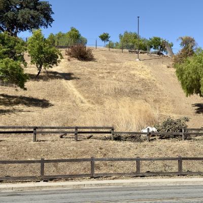 A dry, grassy hillside behind wooden fencing, with cut branches piled near the base and a chain-link fence along the ridge.