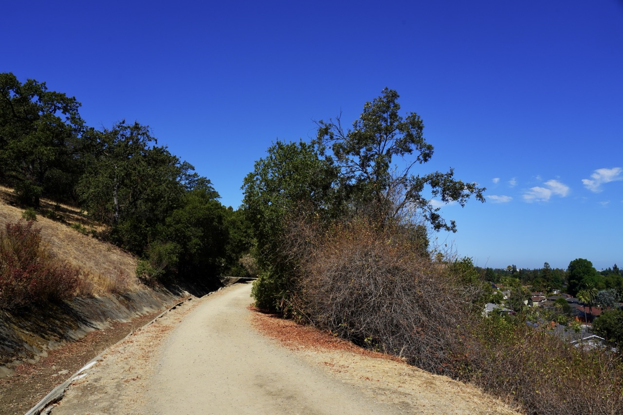A dirt path descending a hillside between oak trees, with a suburban neighborhood visible below