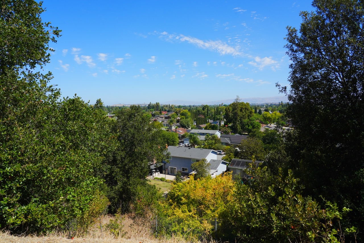 A view between oak branches over a valley of houses and trees toward distant hills