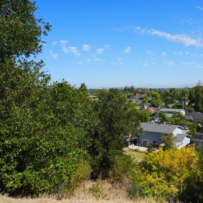 A view between oak branches over a valley of houses and trees toward distant hills