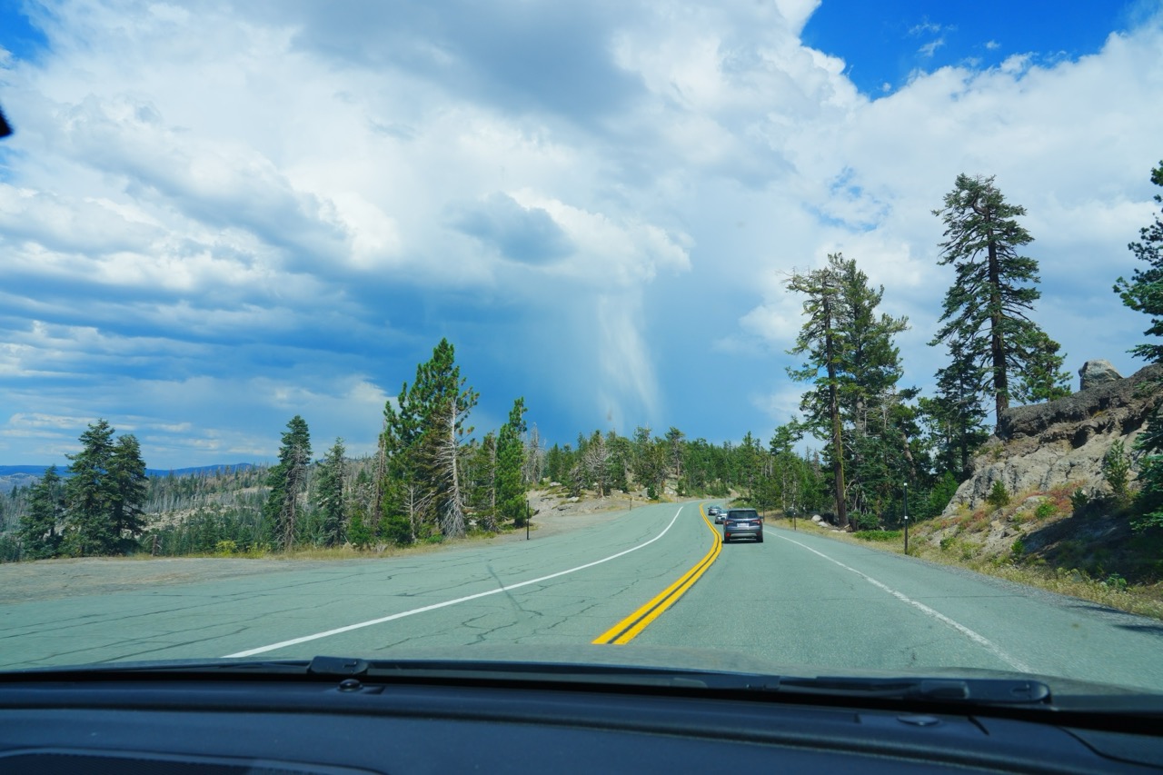 A mountain road curving past pine trees, with a curtain of rain falling from clouds ahead