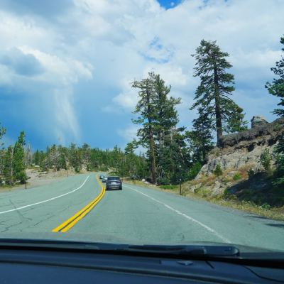 A mountain road curving past pine trees, with a curtain of rain falling from clouds ahead