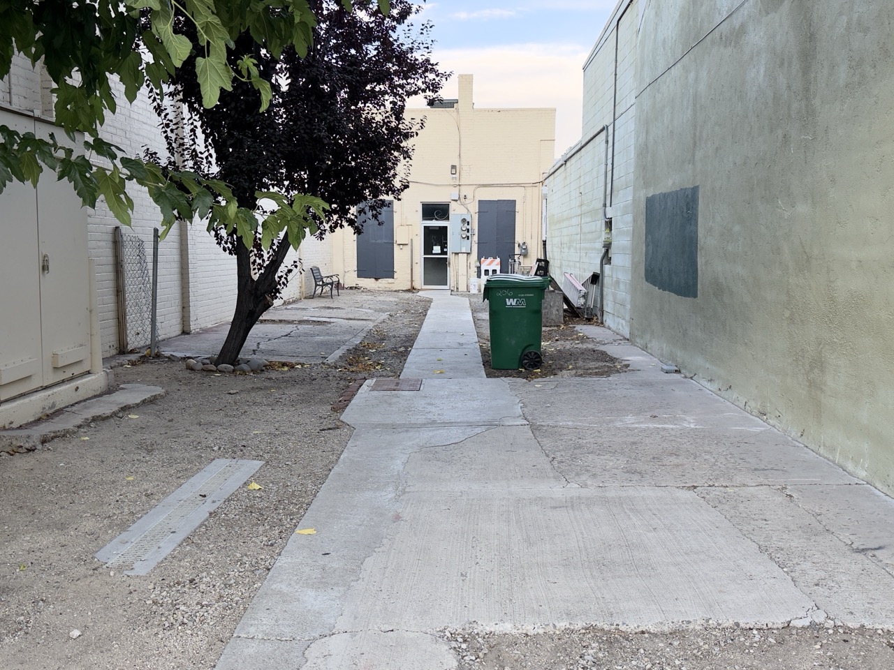 A narrow alley between buildings, with a green trash bin and a tree beside a concrete walkway