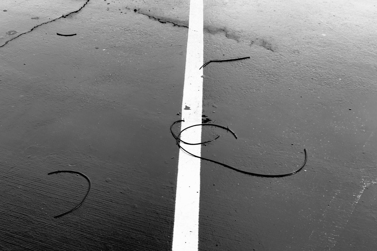 A few thin strips of rubber scattered on wet ashphault. A bright white parking strip line bisects the frame vertically.