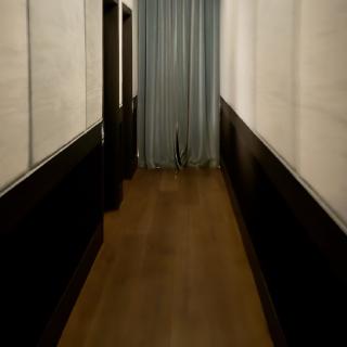 A dim, narrow hallway with pale padded walls and a wood floor, a single globe pendant lighting a grey curtain at the far end.