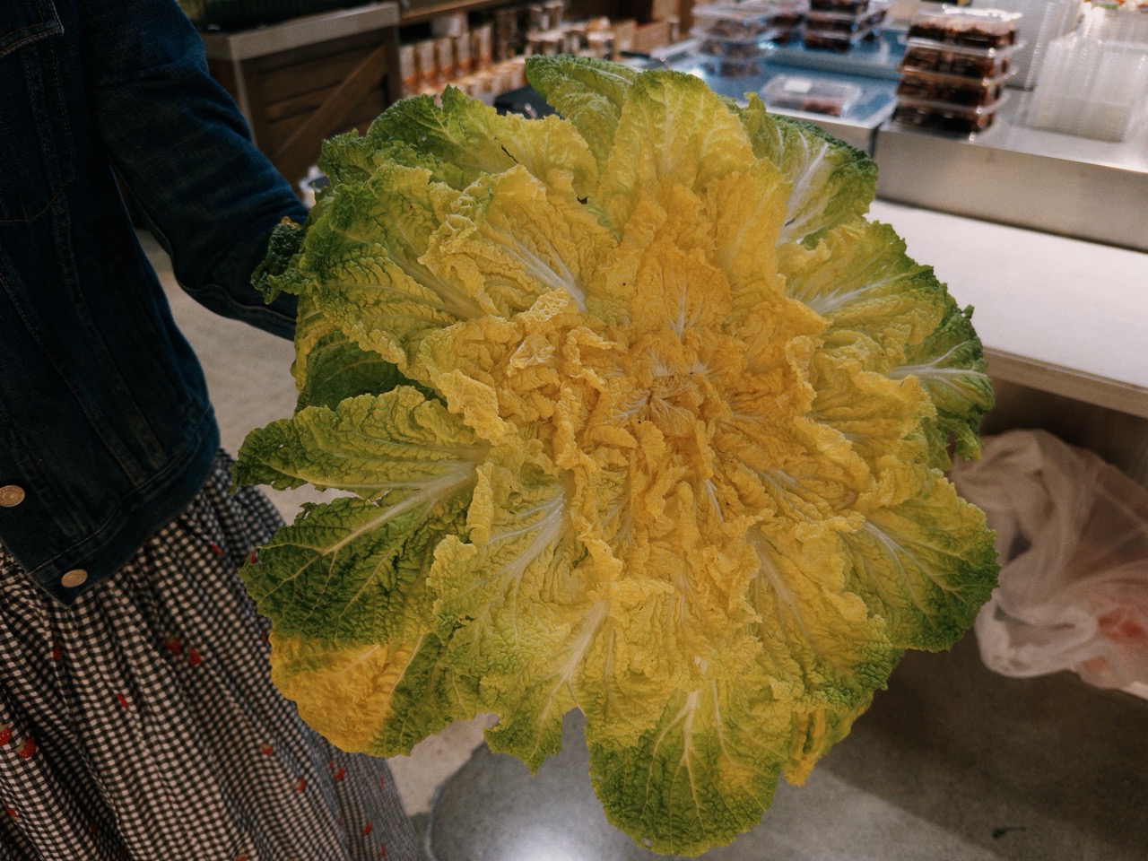 A person in a denim jacket holding up a huge napa cabbage, its ruffled green-and-yellow leaves splayed open, a grocery aisle behind.