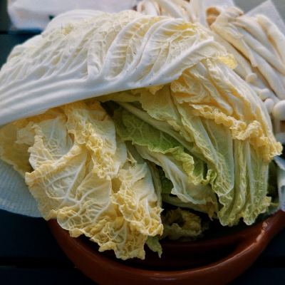 A halved napa cabbage and enoki mushrooms on paper towels in a terracotta bowl, a plate of sliced fish behind, on a slatted table.