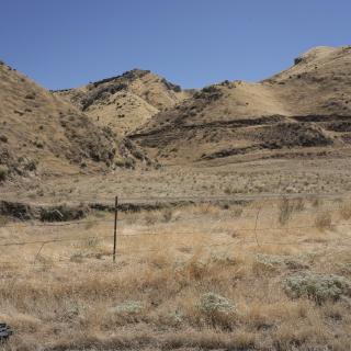 panoche road