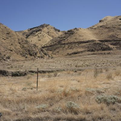 panoche road