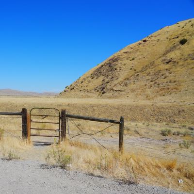 panoche road