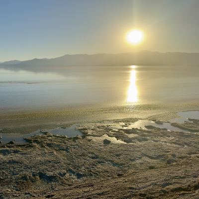 salton