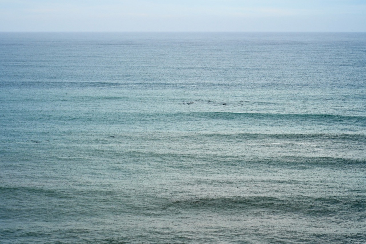 Open ocean out to the horizon, low swells in bands of blue and green under a pale sky.