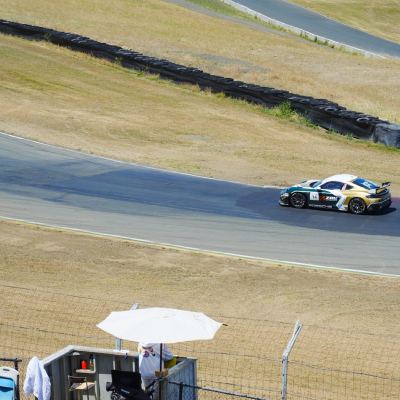 A teal-and-gold Porsche, number 14, cornering above a tire barrier, a spectator under an umbrella in the foreground.
